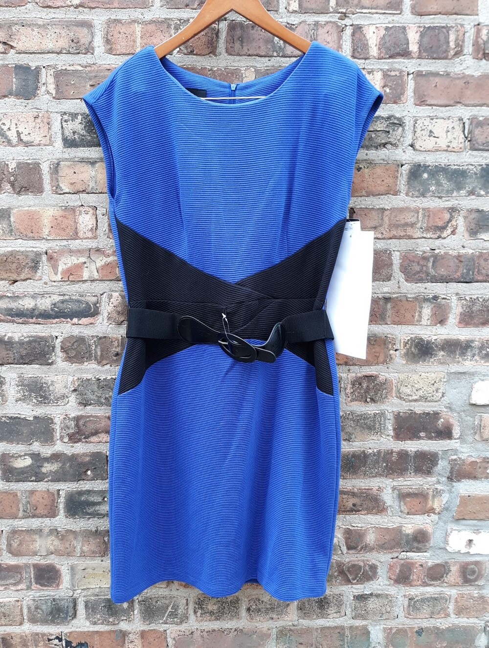 AGB Royal Blue Dress 14 NWT Colorblock Ribbed Ponte Belted Sheath